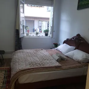  Auberge de jeunesse Oakland Albanie
